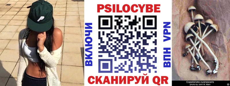 МЕГА как войти  Протвино  Галлюциногенные грибы Magic Shrooms  дарнет шоп 