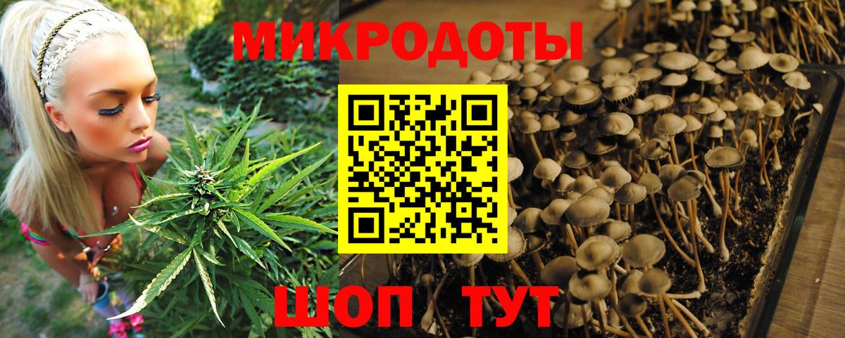 Галлюциногенные грибы GOLDEN TEACHER Протвино