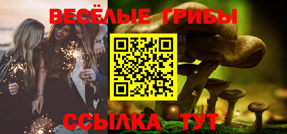 Протвино  Галлюциногенные грибы Psilocybine cubensis  Вход с VPN 